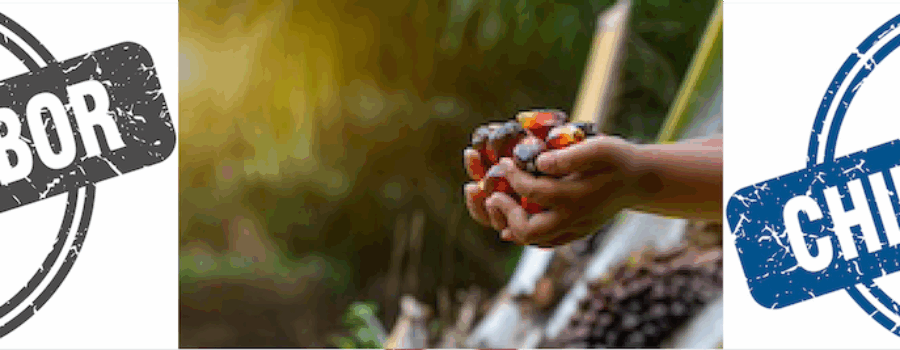 The Hidden Dangers of Palm Oil in Your Soap.